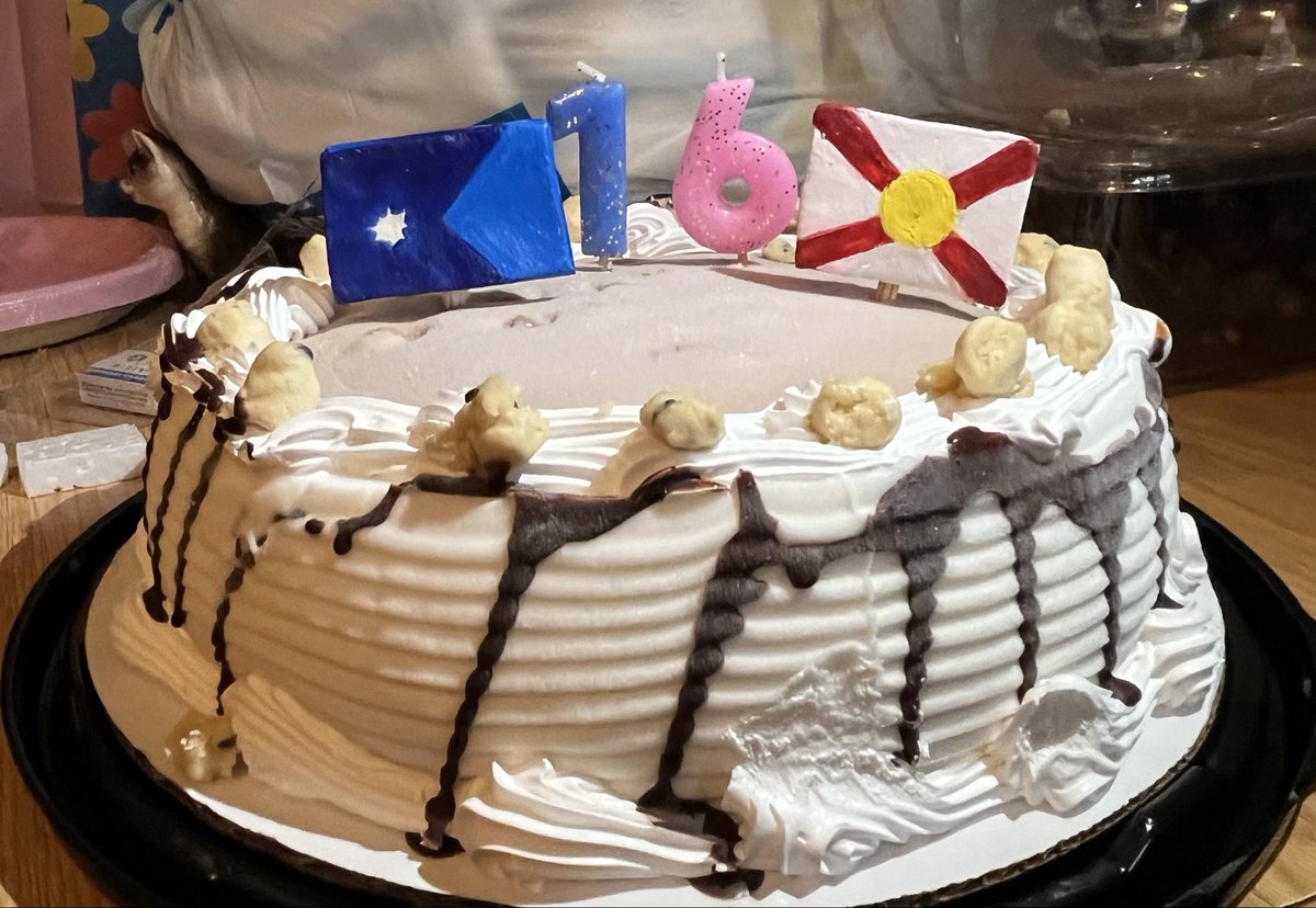 MNsbiggestfan's tweet image. ฅ^•⩊•^ฅ

             𖥔 ݁ ˖ ⇨ My Birthday!! ⇦ ˖  ݁𖥔 

✴︎・─ Now that the party is over, I am here to show off my cake and presents. :D
✴︎・─ My cake of course had to be snowgator themed-ish!! ❄️🐊
✴︎・─ Is it really my birthday if it’s not? 

#MN #Minnesota #MNtwt