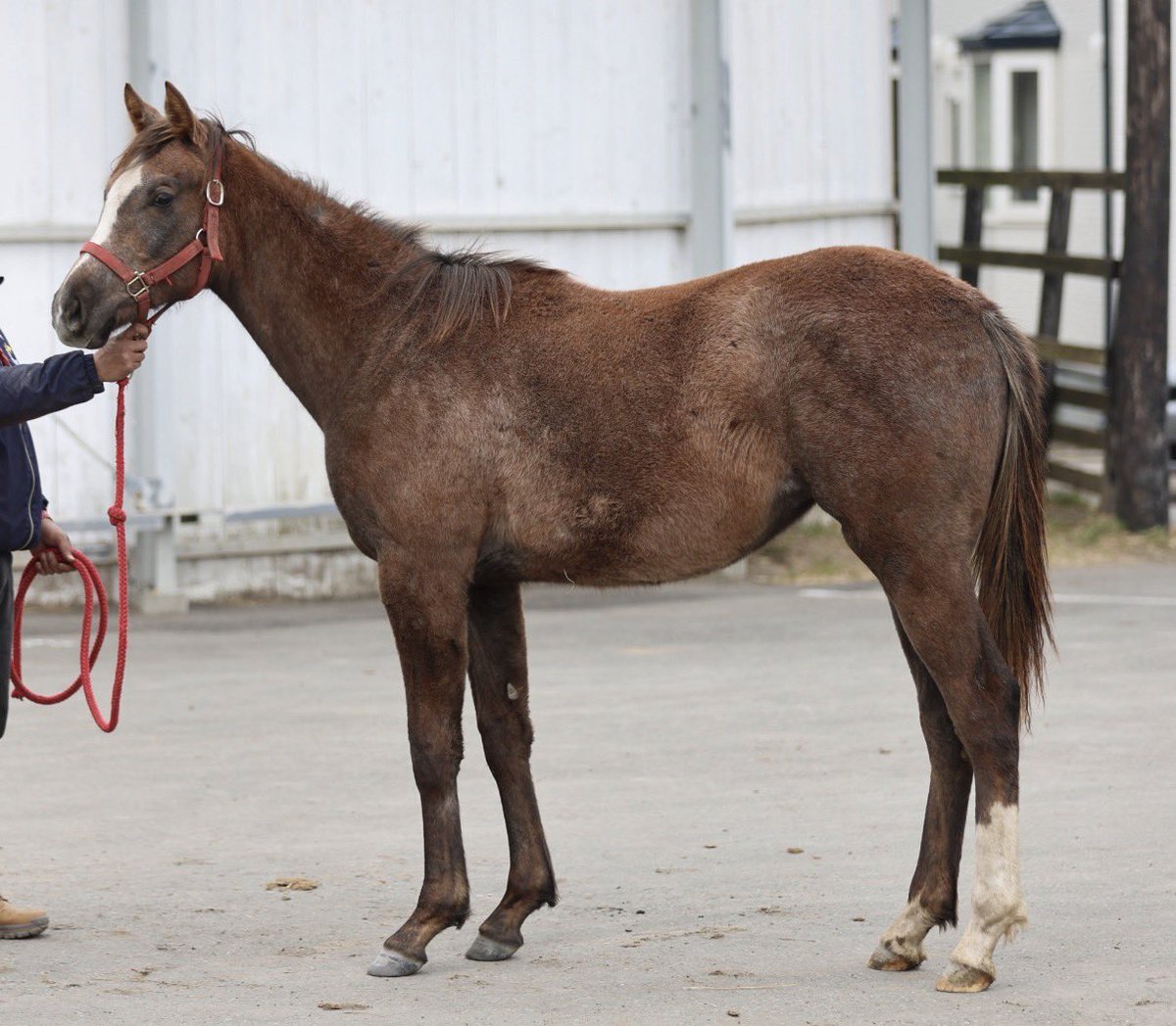 オールザベスト(EVGシンジケート事務局) tweet media