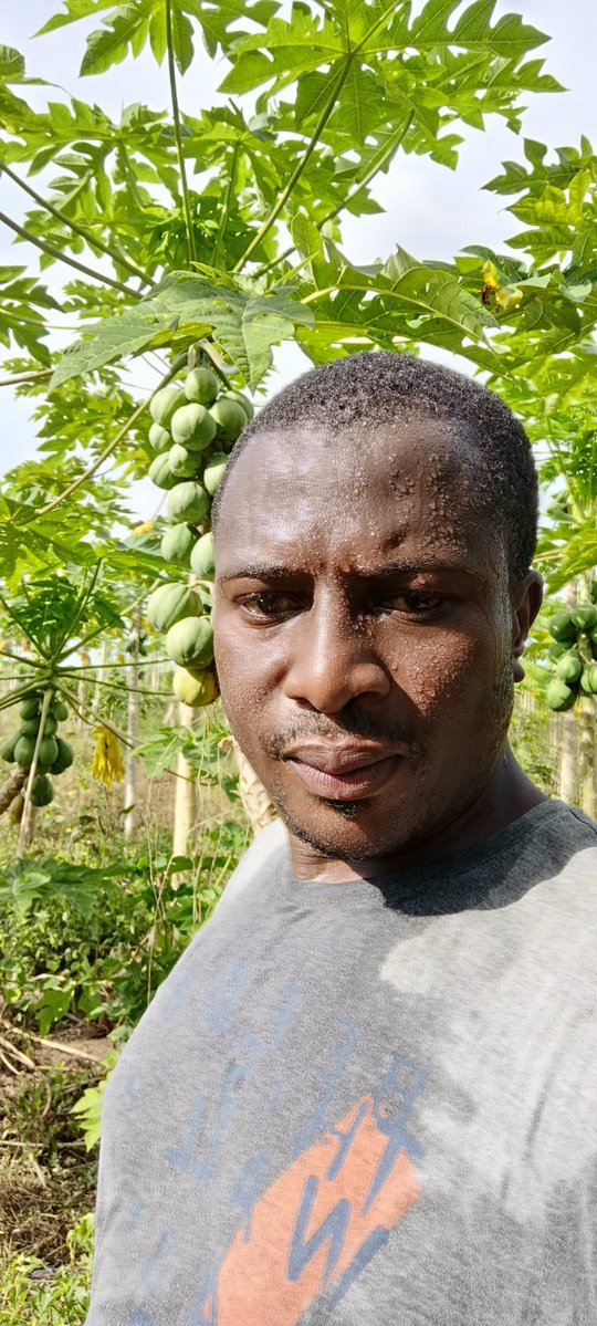 Tangwa Abilu.🌿🌏🌾🍀🍃.SDG's. tweet media