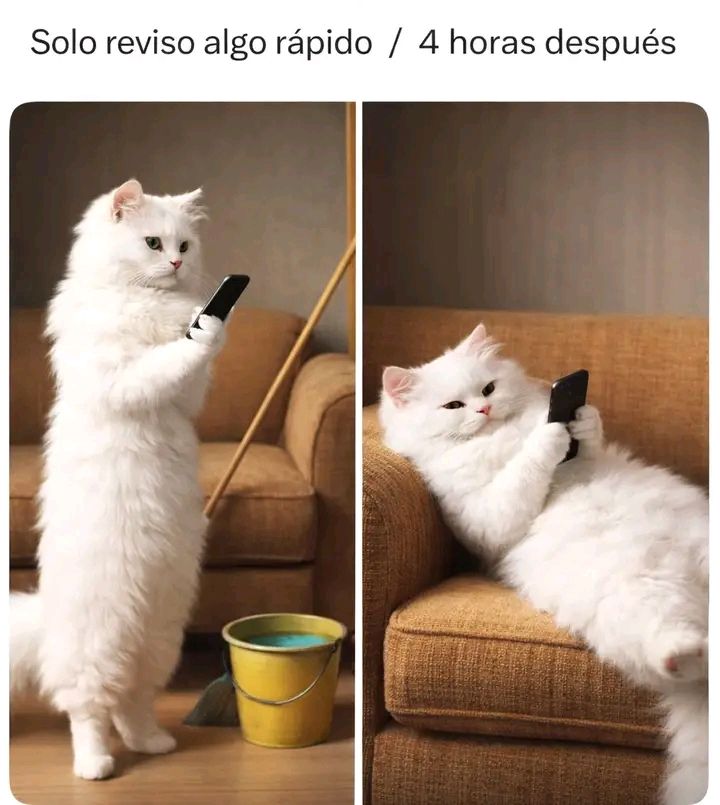 Yamileth. tweet media