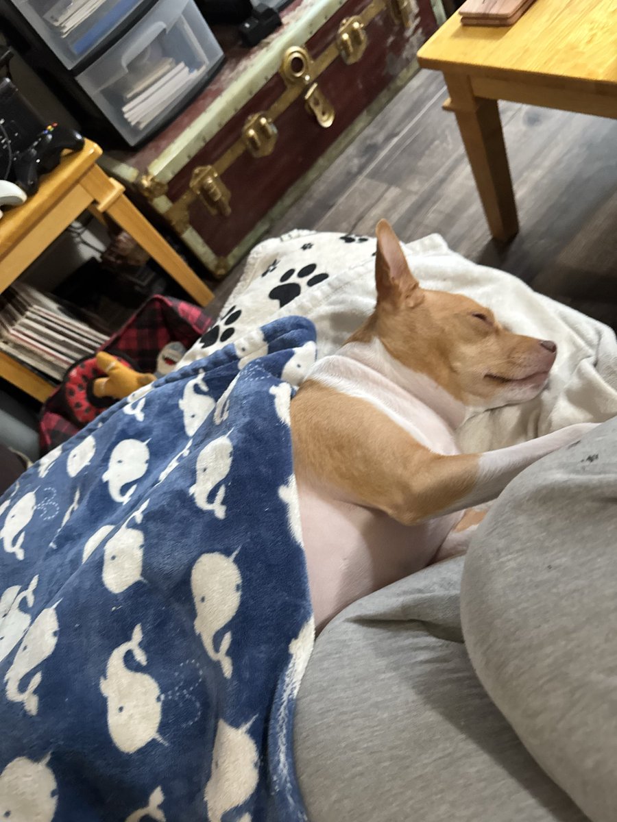 Devon O'Donnell tweet media