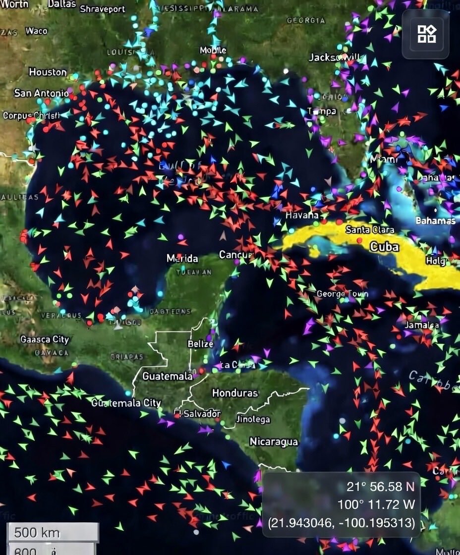 Forbidden Seeds tweet media