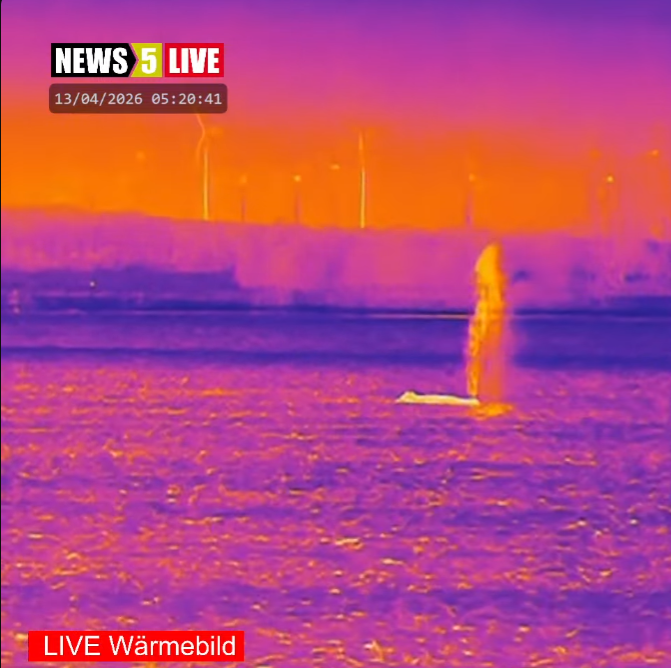 ninakndy's tweet image. Schon die 4 oder 5 große Fontäne innerhalb weniger Minuten

#timmy #hope #wal