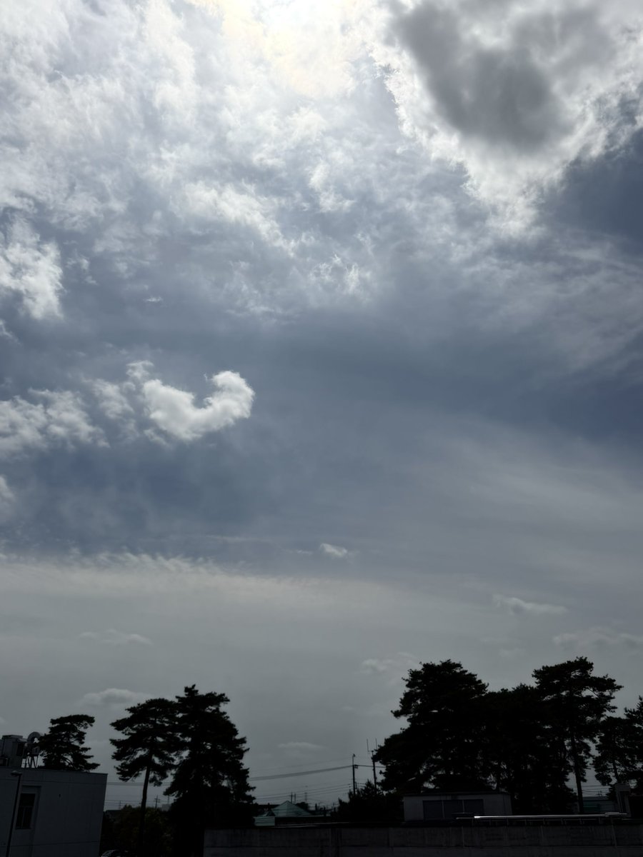 ふんわり薄く #環水平アーク が見えた！
12:13  つくば市
#大気光象