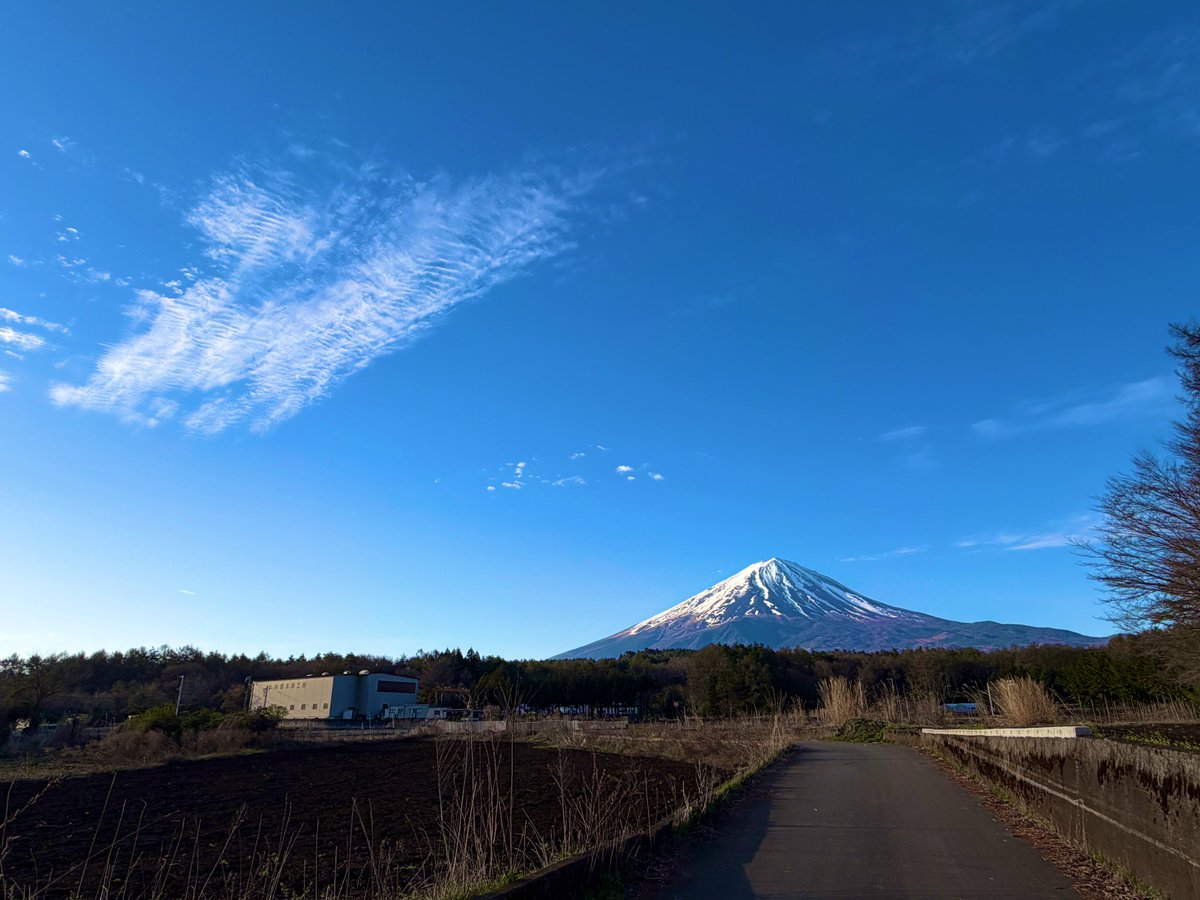 富士山コレクター大宮仁 tweet media