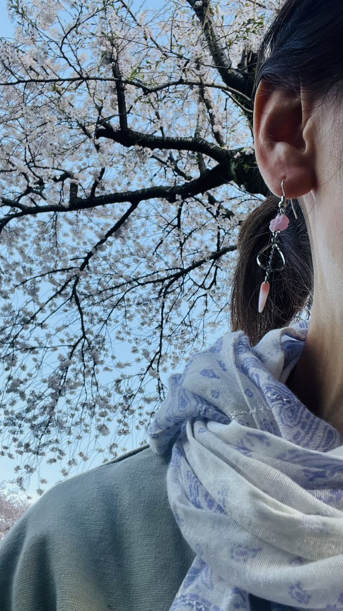 minira318's tweet photo. 3月に頂いた誕プレピアスと🌸
散りゆく桜の木の下で🌸✨🌸 https://t.co/ZKCjzrD9EF