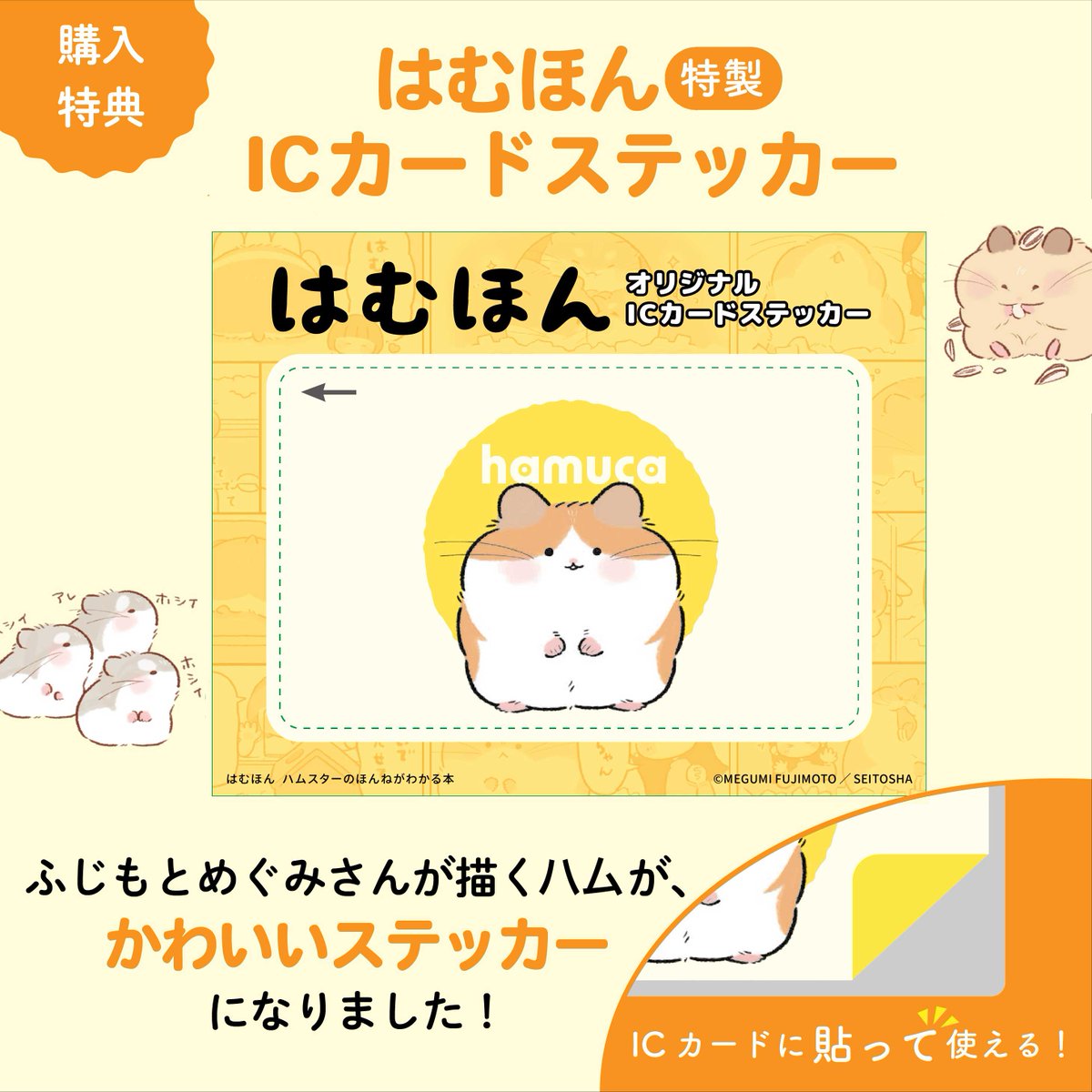 西東社｜実用書と児童書の出版社📚 tweet media