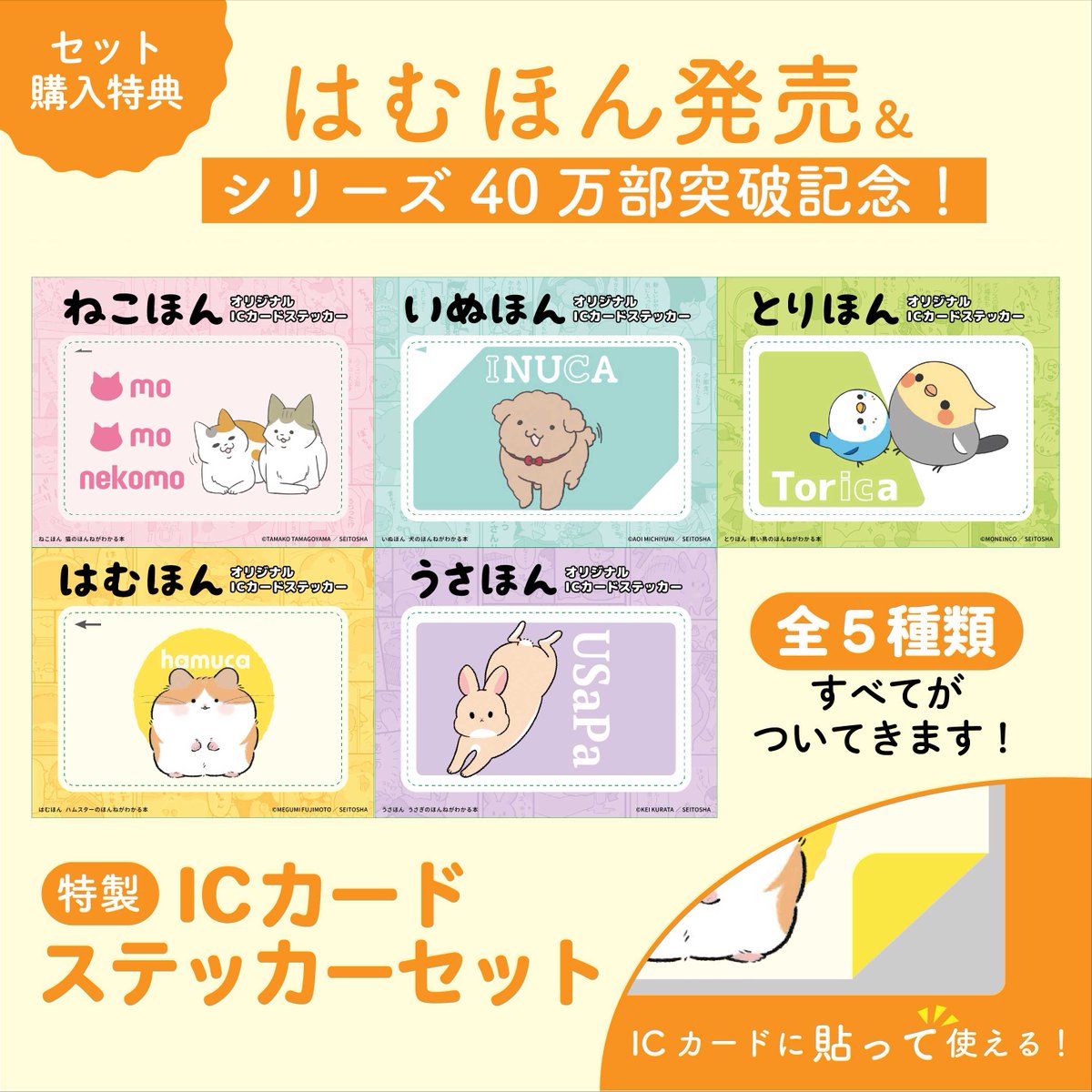 西東社｜実用書と児童書の出版社📚 tweet media