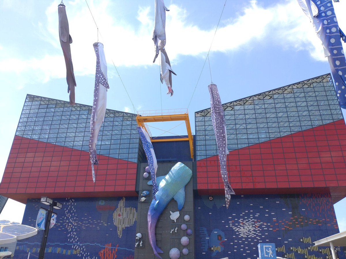 MiniMrn's tweet photo. 今回はユニバと海遊館たのしんできましたー
また夏に海賊で会おう関西 https://t.co/SbxfnjaKKW