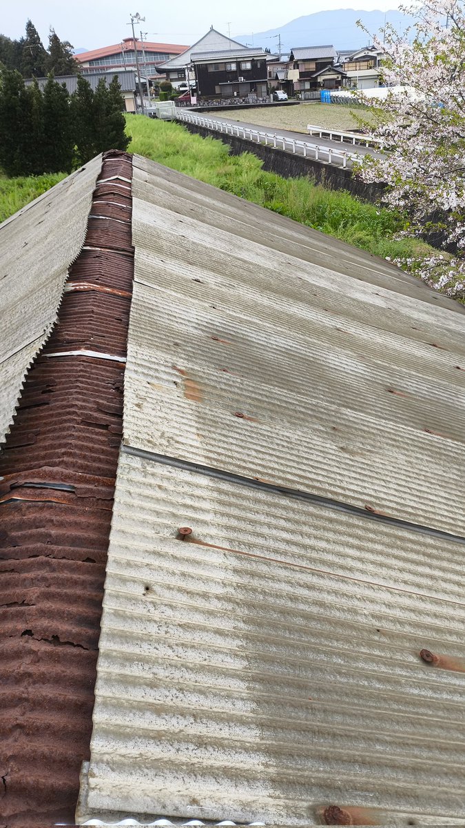 恍惚のブルース tweet media