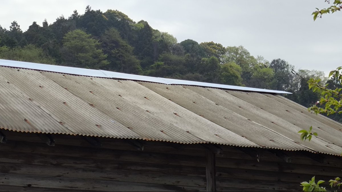 恍惚のブルース tweet media