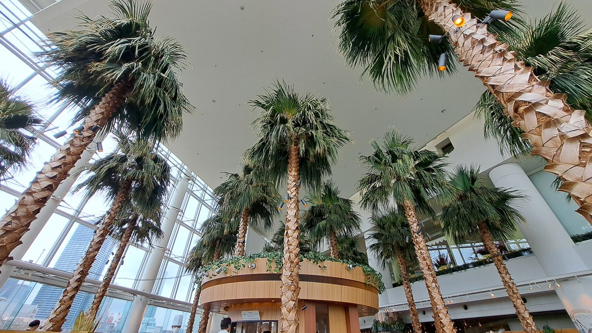 安らぎAQUAちゃんねる【YouTube】 tweet media