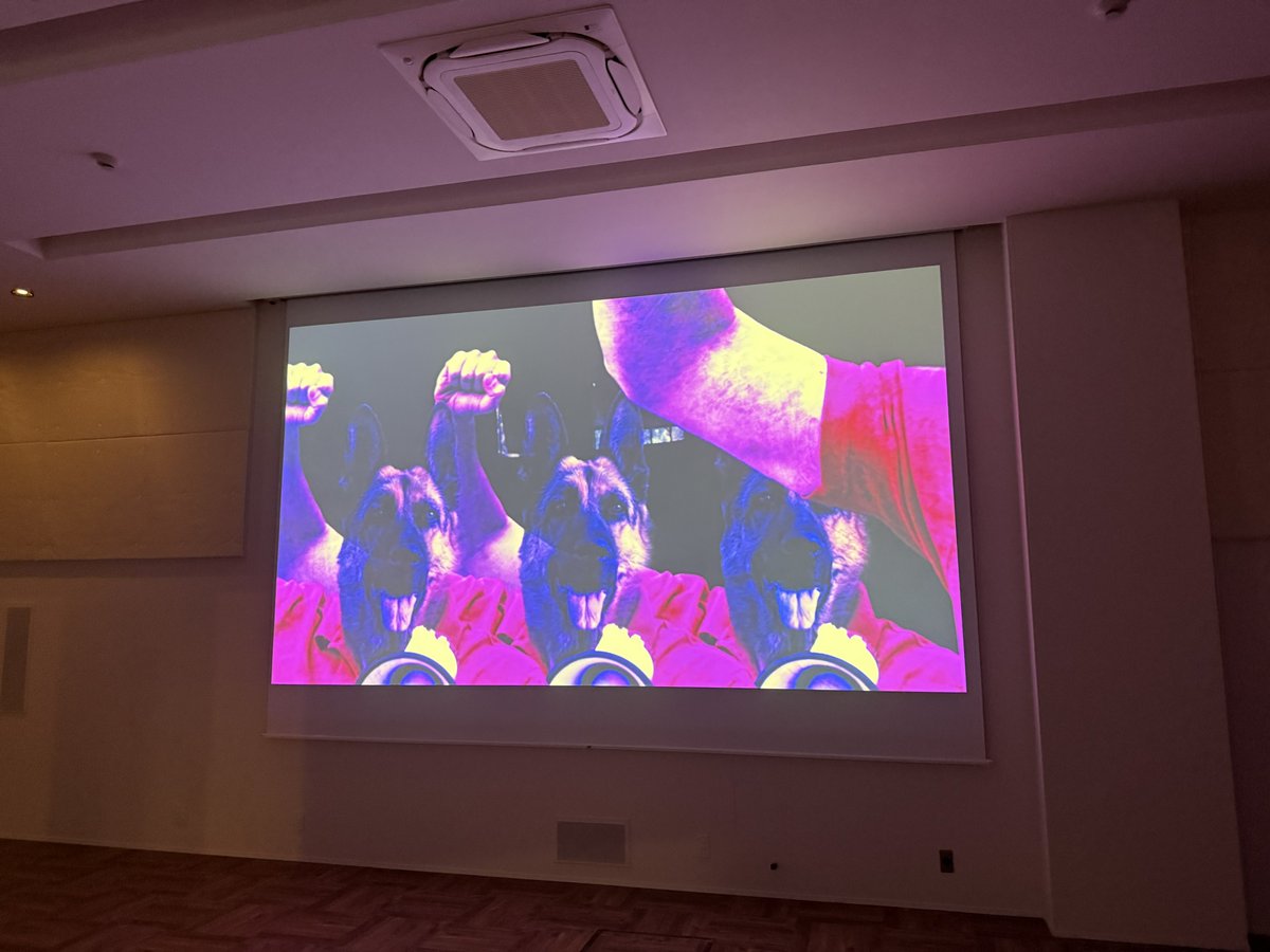 ┻╋┳（もらすとしずむ） Ⓜ︎●R@$☦️●©︎❶$μⓂ︎ tweet media