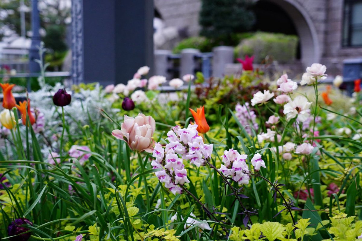 ガーデンネックレス横浜公式 tweet media