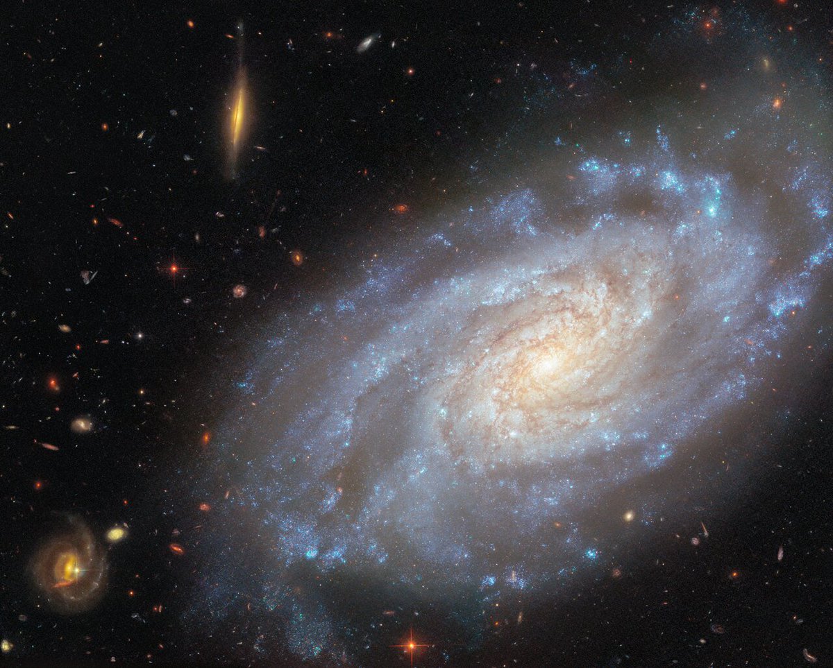 DailySpaceNude's tweet image. Day 1184 - NGC 3370

📷Hubble
#Space #Astronomy #Hubble