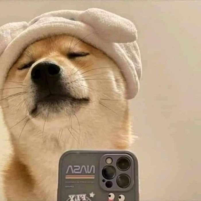 🎨익명의 자료계 tweet media