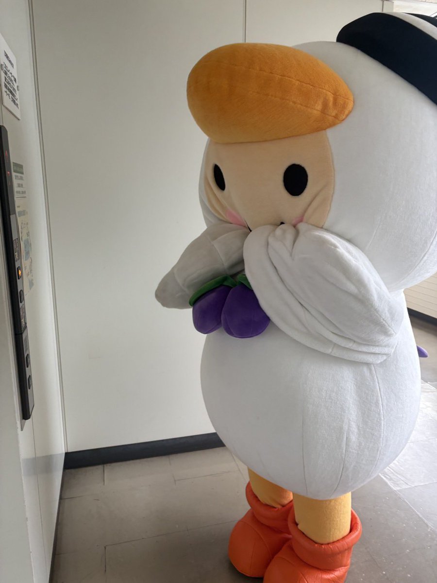 とまチョップ《公式》 tweet media