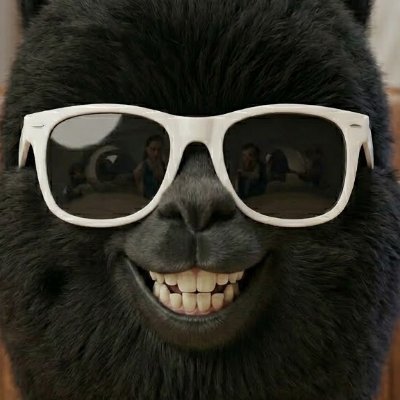 .🇮🇳 tweet media