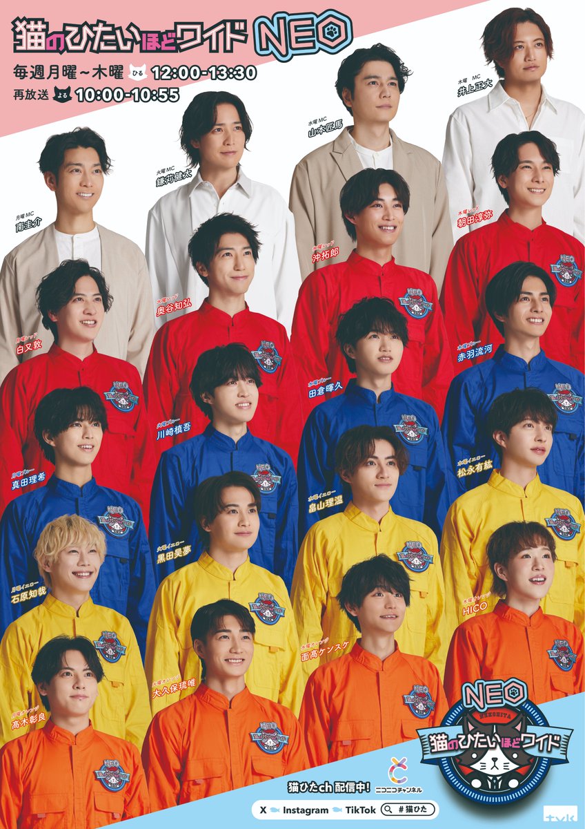 猫のひたいほどワイドNEO tweet media