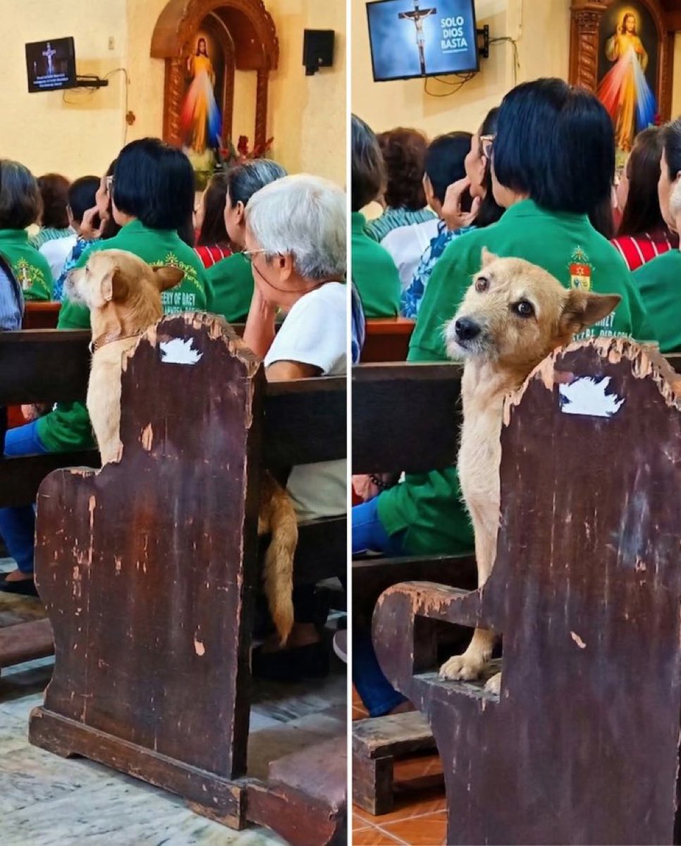 catrumano (@katrumano) on Twitter photo 