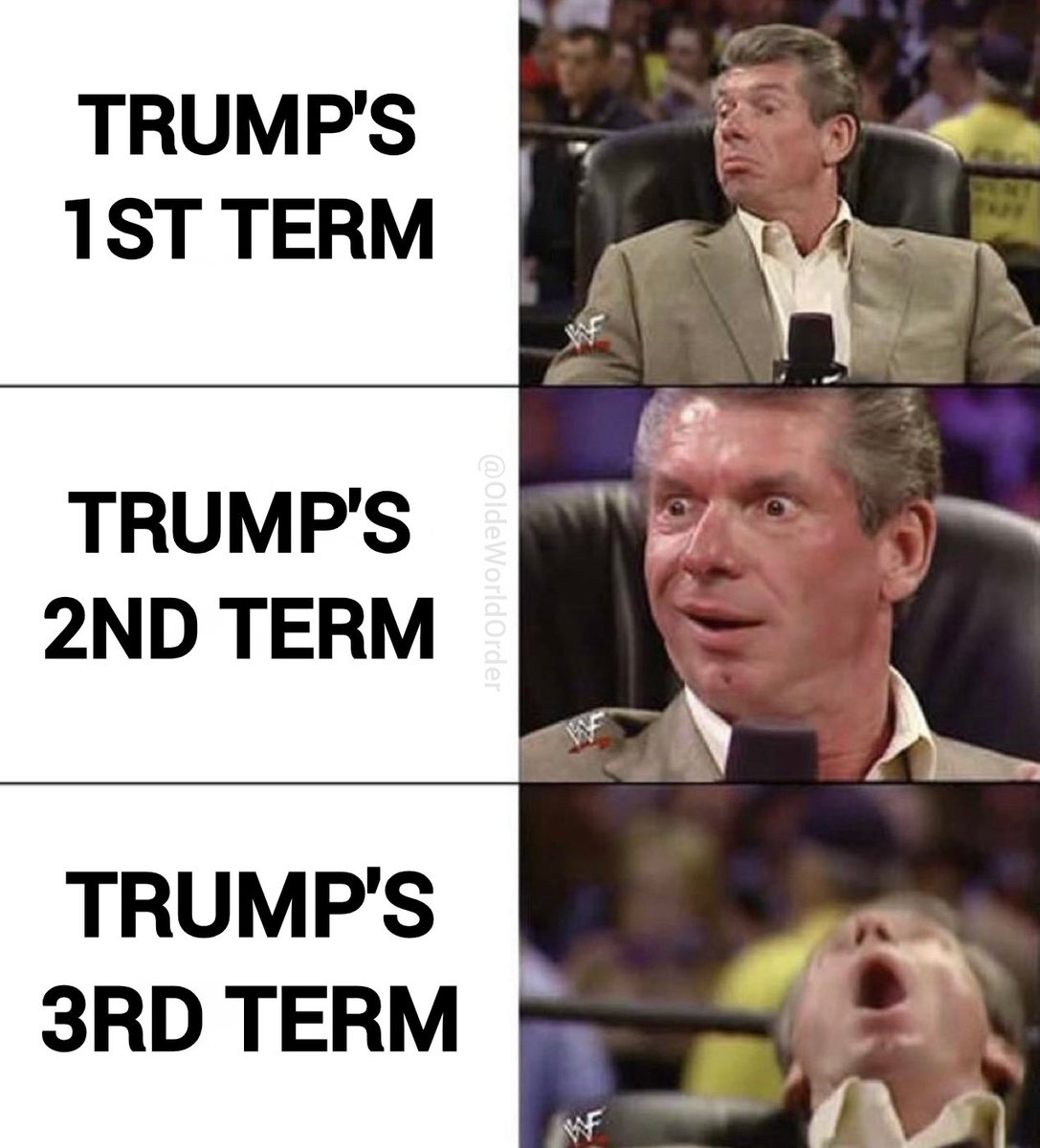 The Conservative Alternative tweet media