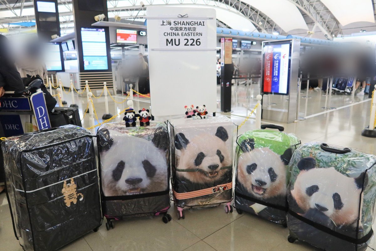 アドパントレジャー tweet media