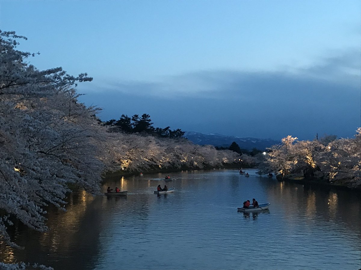 あらいどかぎり(新挑限) tweet media