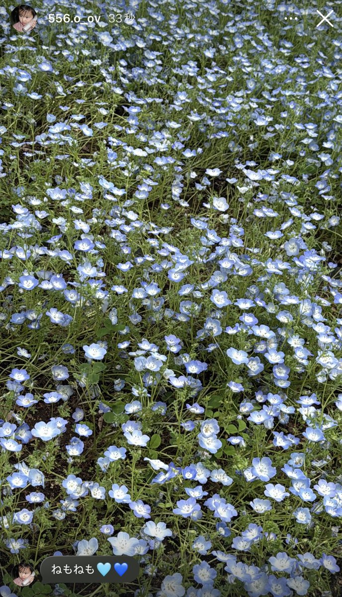 加藤心 顔 tweet media