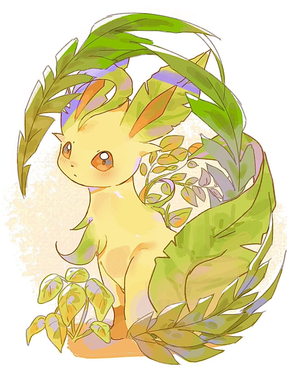 세쾅이 / セクァンイ tweet media