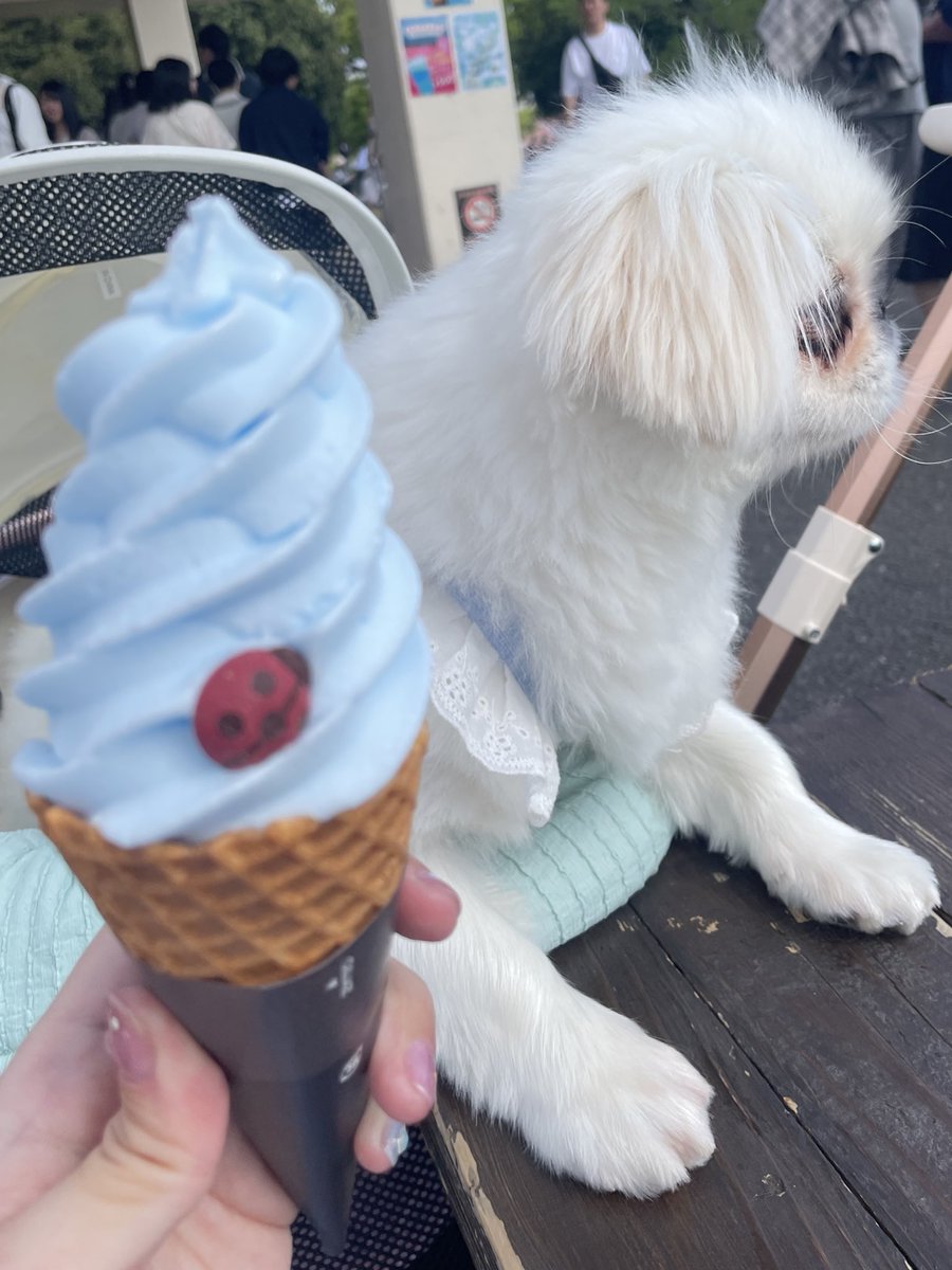 ニコニコハッピー子供🐣 tweet media