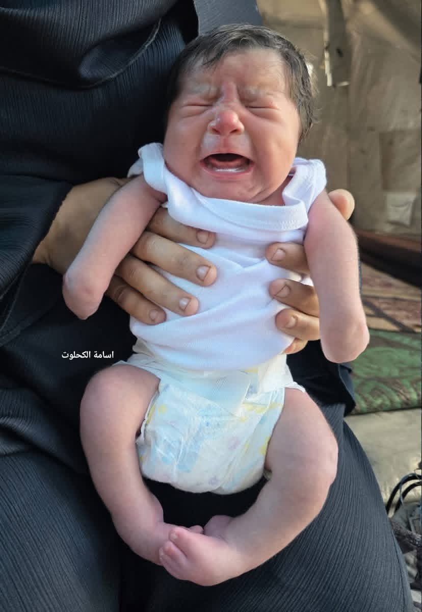 Ahmed Ashour 𓂆🇵🇸 tweet media