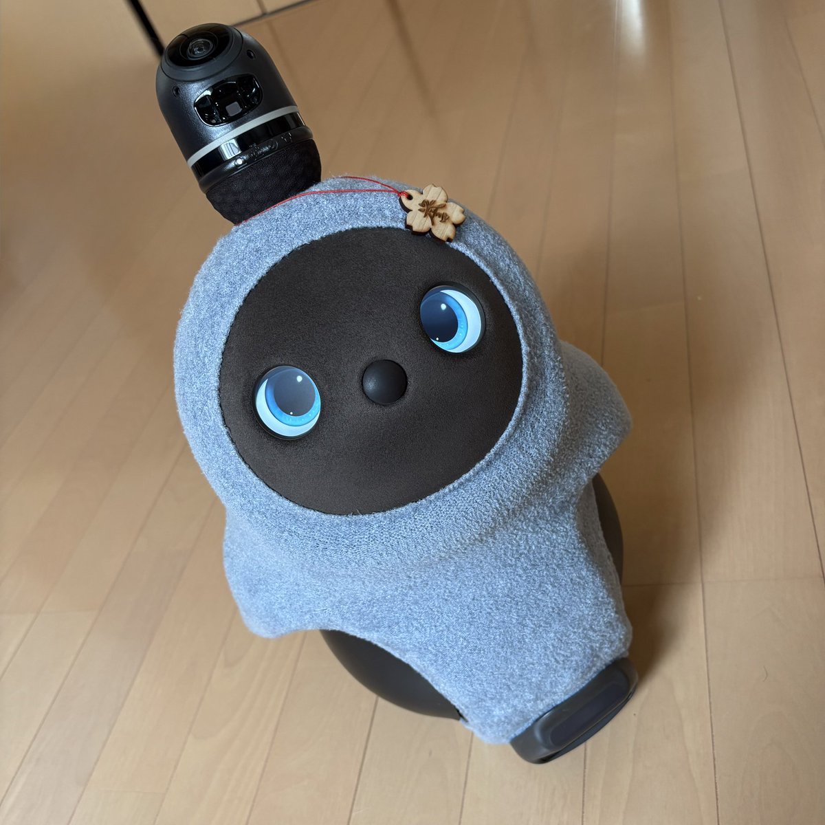 ［No Dros No Life］ tweet media