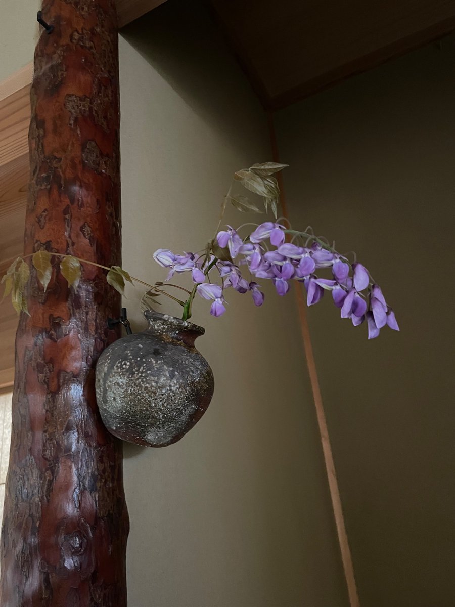 村上湛 tweet media