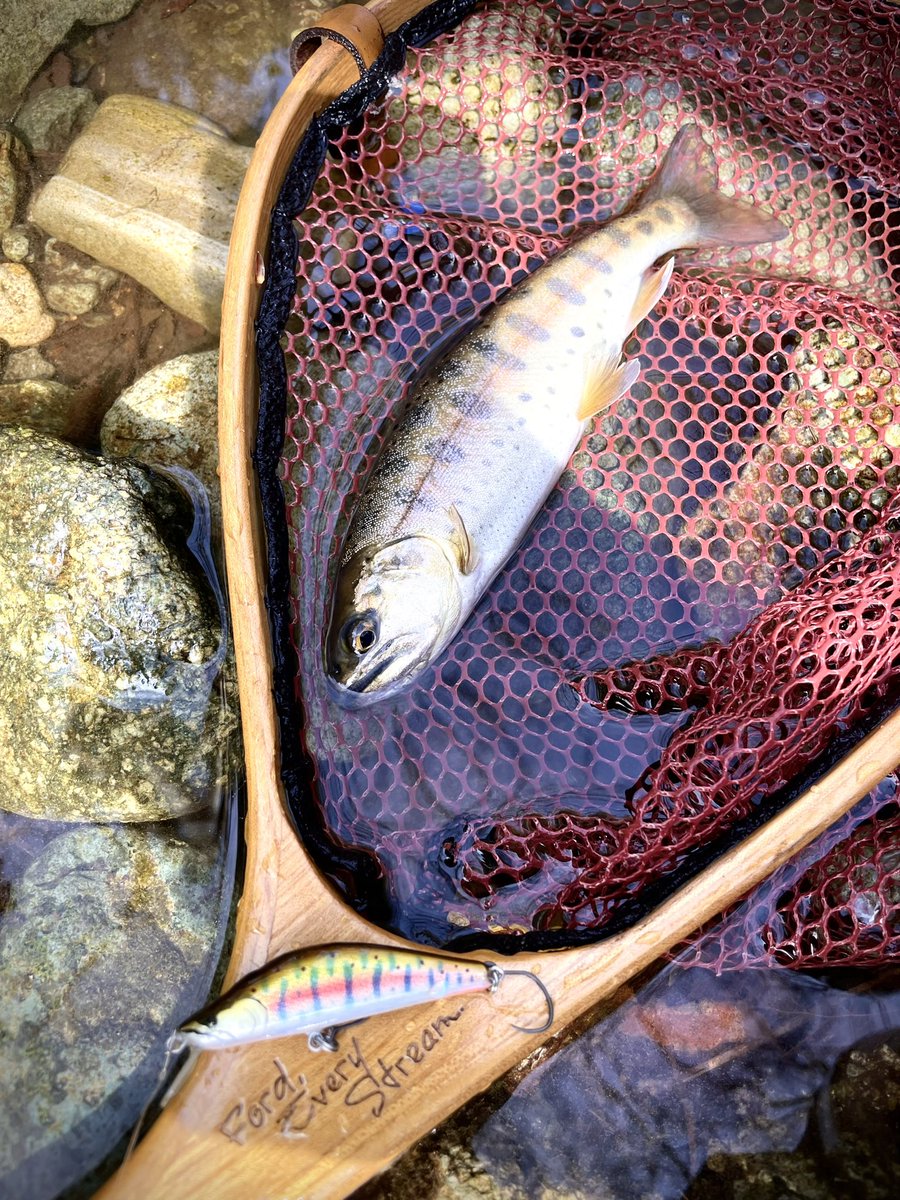 タカノリ tweet media