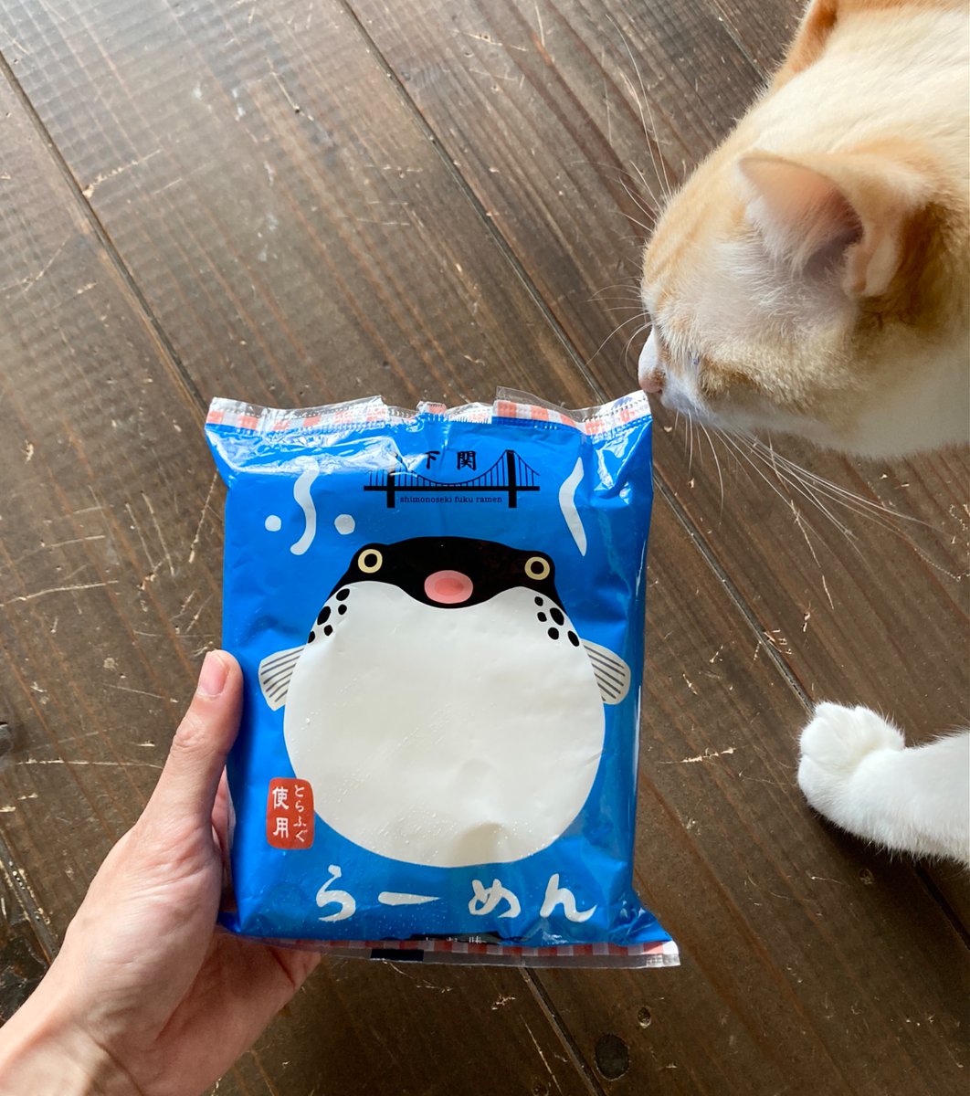 おりでちせ tweet media