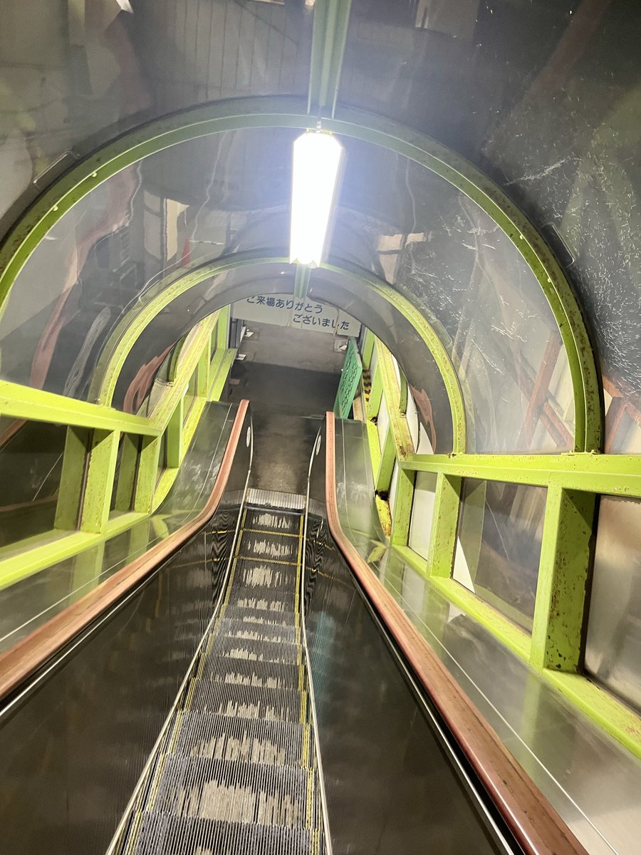 なんかჯ ιı र くてかわいいI ニら(22/1🐧0.8%ミニ洞口0.1%水神祭1.6%) tweet media