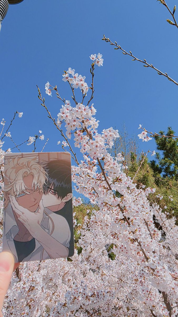 덕질뿅🕯️ tweet media