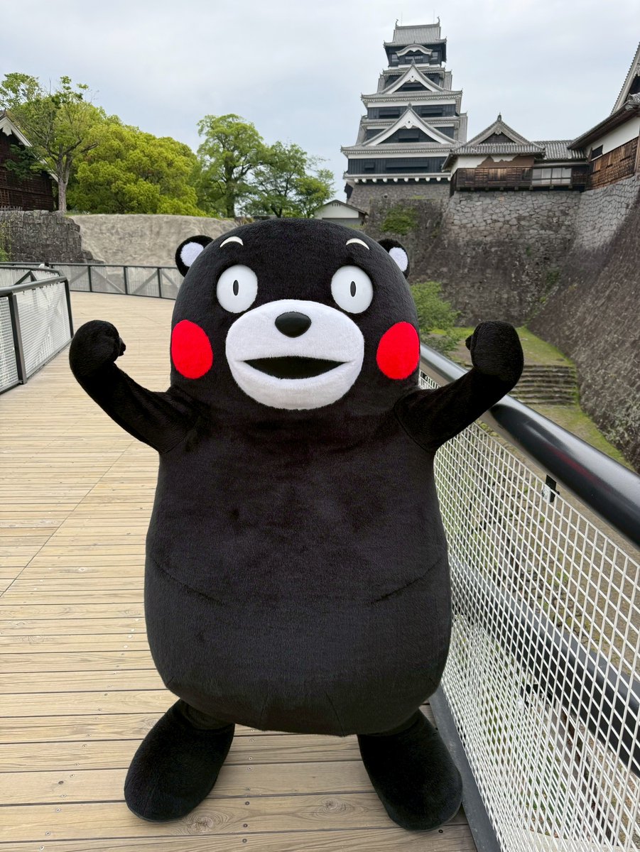 くまモン【公式】 tweet media