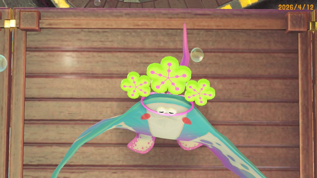 まなみ🐇 tweet media