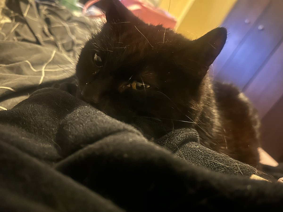 Alexandra tweet media