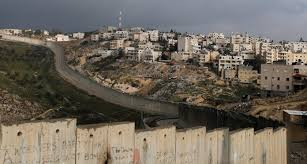 Hazmi LucidRuby tweet media