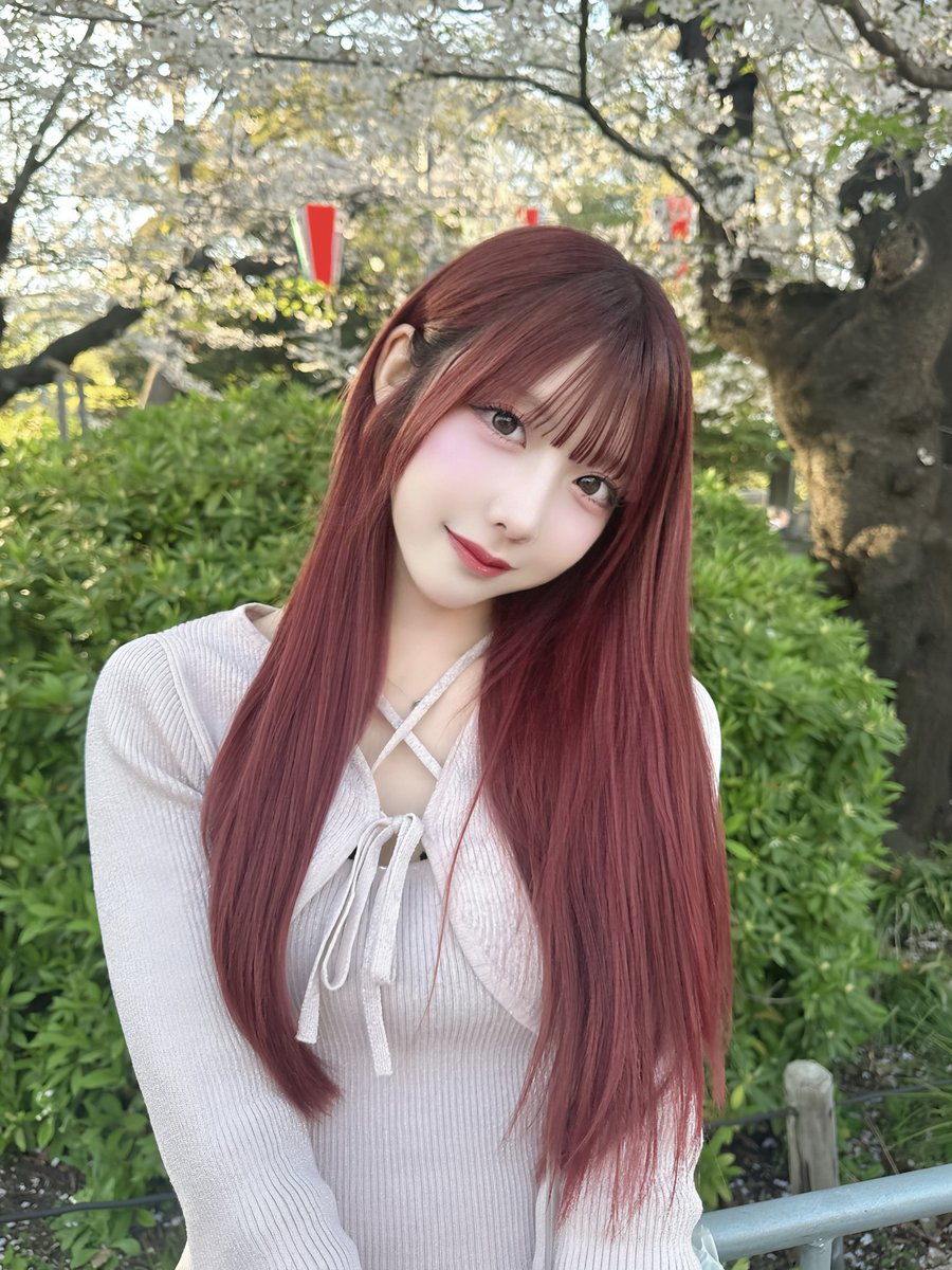 神楽巳ふな【RAViDAVi】🍰4/15生誕 tweet media