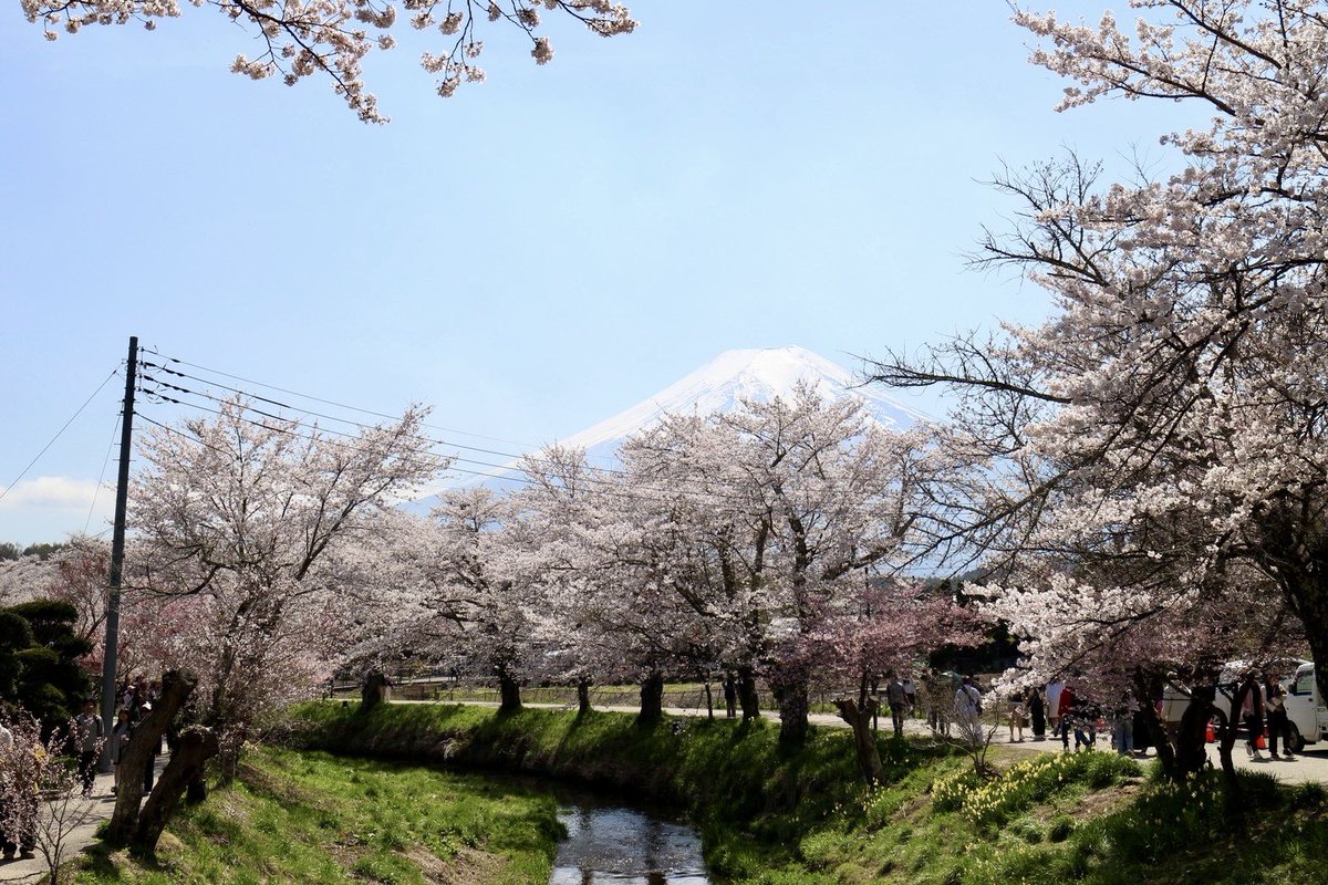 ˗ˏˋ 𝘊𝘩𝘢𝘤𝘰 🍃 𝘊𝘢𝘮𝘱 ˎˊ˗ tweet media