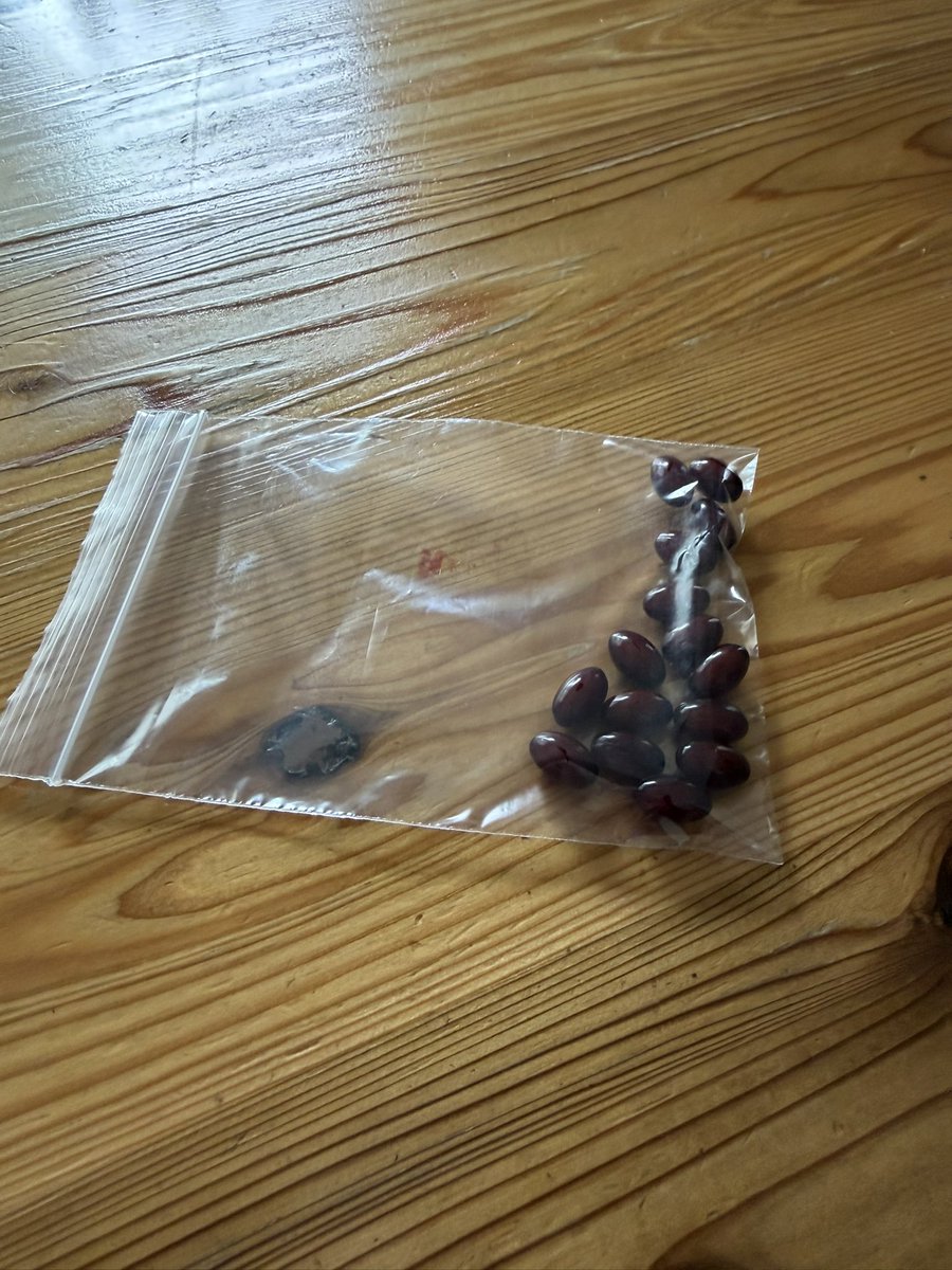 Dillsan@不死鯖 tweet media