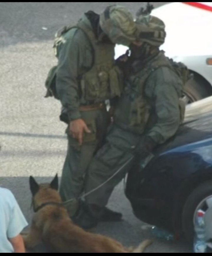 -Vorskov- tweet media