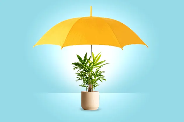 TheCEOViews's tweet image. Protect your business from unexpected risks with the right hired-in plant insurance 🏗️🔒 Stay secure, stay confident, and keep your operations running smoothly.

Read More: theceoviews.com/best-hired-out…

#BusinessProtection #InsuranceMatters