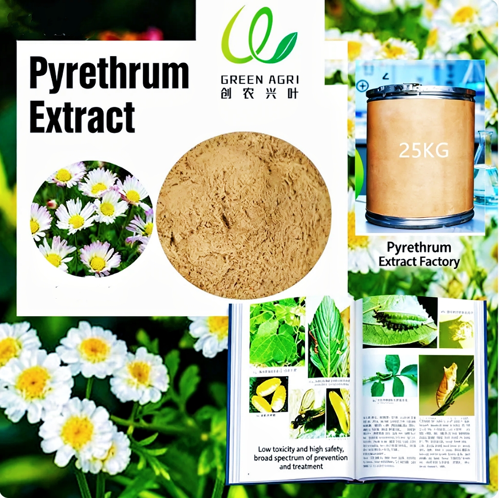 natashana455672's tweet photo. Pyrethrum Extract is standardized to pyrethrins content (25%–70%), solvent‑free options available
https://t.co/LvghsXLpLn 

#BotanicalPesticides #PyrethrumExtract #BotanicalInsecticide #CropProtection #Pyrethrum #B2B #Agrochemicals #OrganicFarming  #IntegratedPestManagement  #IPM https://t.co/bGLJPfvGtS