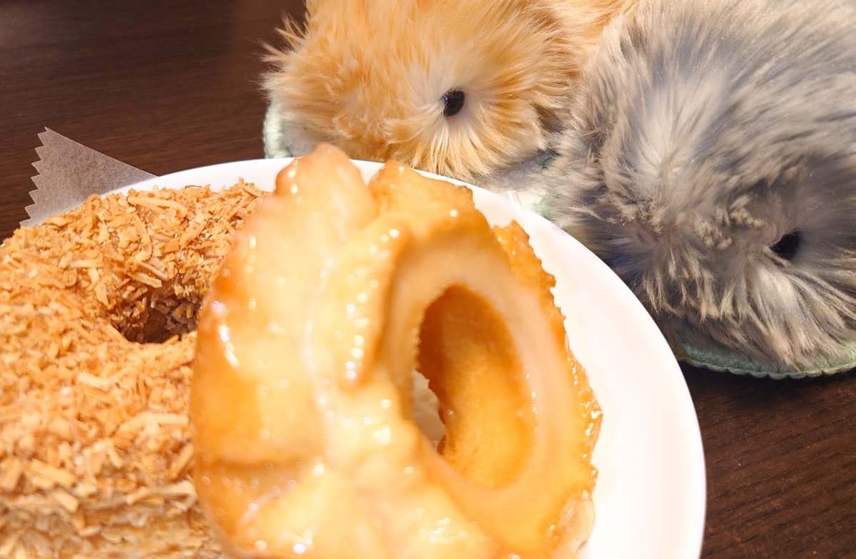 今日のおやつにランディーズドーナツをもらいました🍩