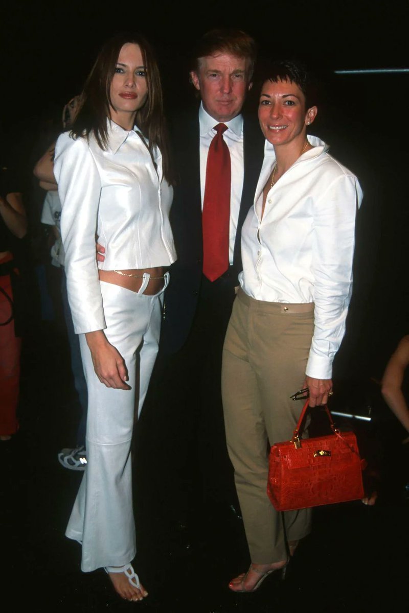 Garlean kitty cat tweet media