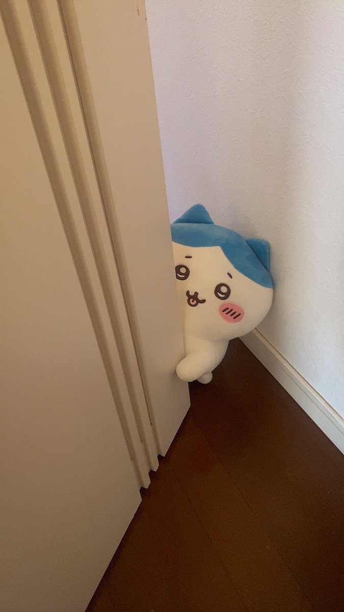 かんちゃ🍊ちいかわ生活 tweet media